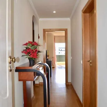 Cozy Near Airport And *